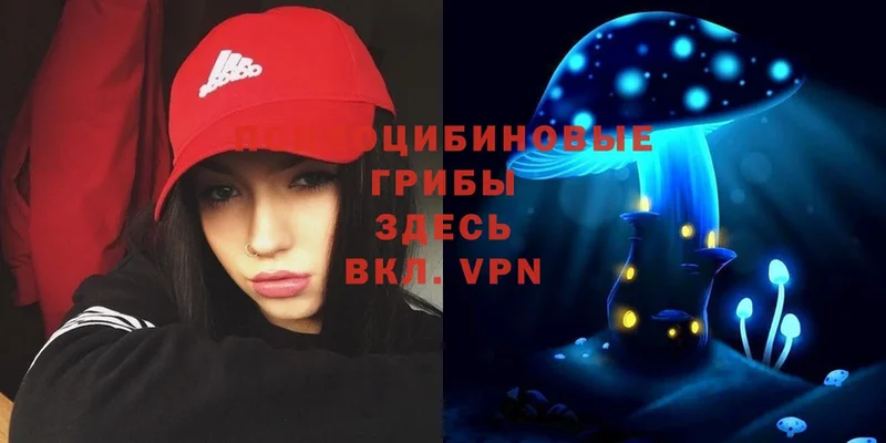 Галлюциногенные грибы Magic Shrooms  Лабинск 